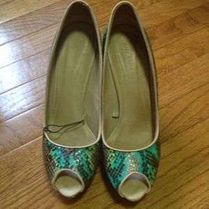 Zara Snakeprint Pump